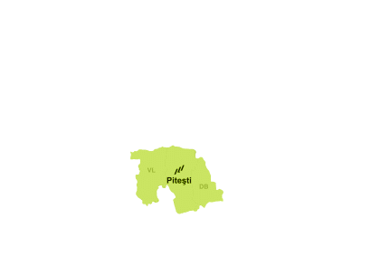 Pitesti
   Str. Fratii Golesti, nr. 57
   T: +40 248 211 560
   F: +40 248 211 540